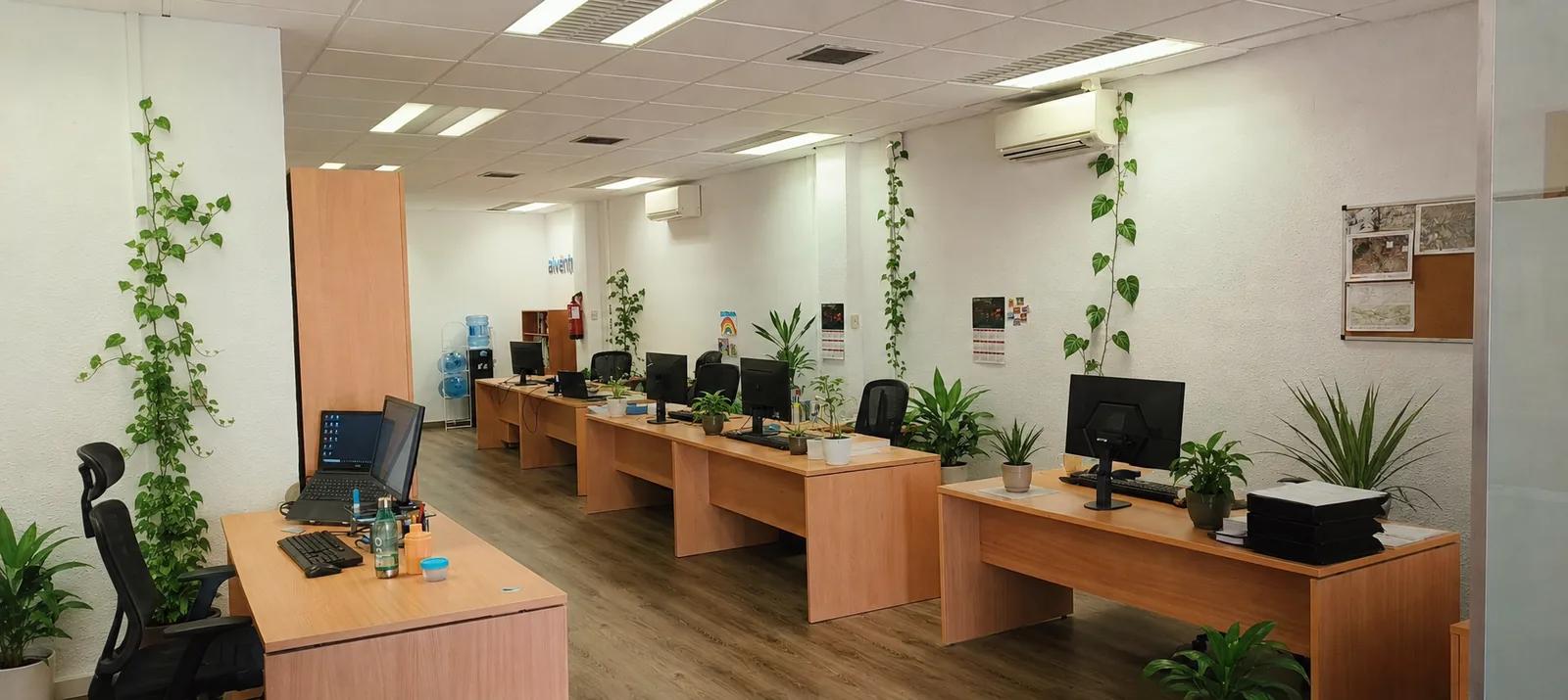 Oficina de Alventia con puestos de trabajo del equipo técnico