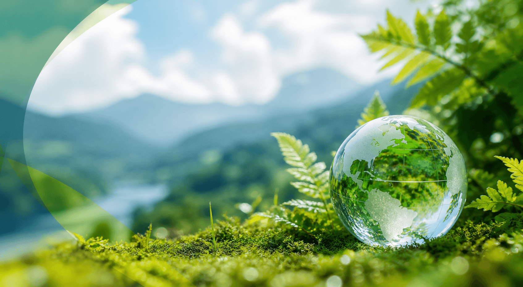 Consultoría ambiental: clave para un desarrollo sostenible y eficiente